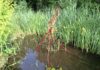 Nieuwe editie Kunst in de Heemtuin telt twaalf kunstenaars