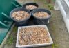 Oegstgeest roept op tot verbod plastic peuken