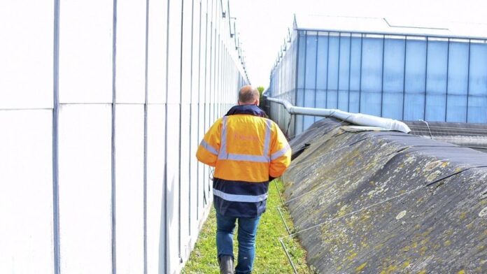 Rijnland onderzoekt mogelijke lozingen in glastuinbouwgebied bij Stompwijk Rijnland onderzoekt mogelijke lozingen in glastuinbouwgebied bij Stompwijk
