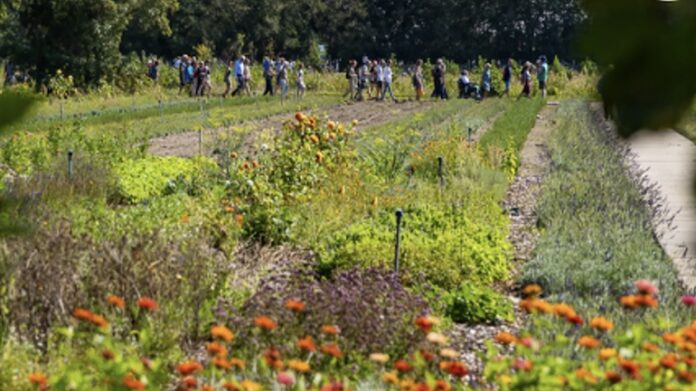 Open dag bij Land van Ons Wassenaar tijdens Dag van het Kasteel