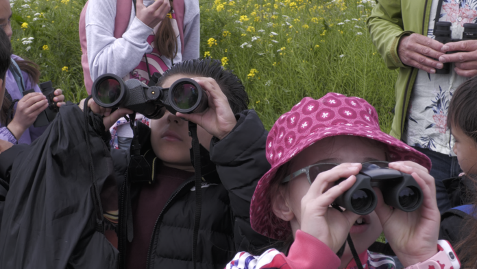 Natuuravontuur bij de Starrevaart (video)
