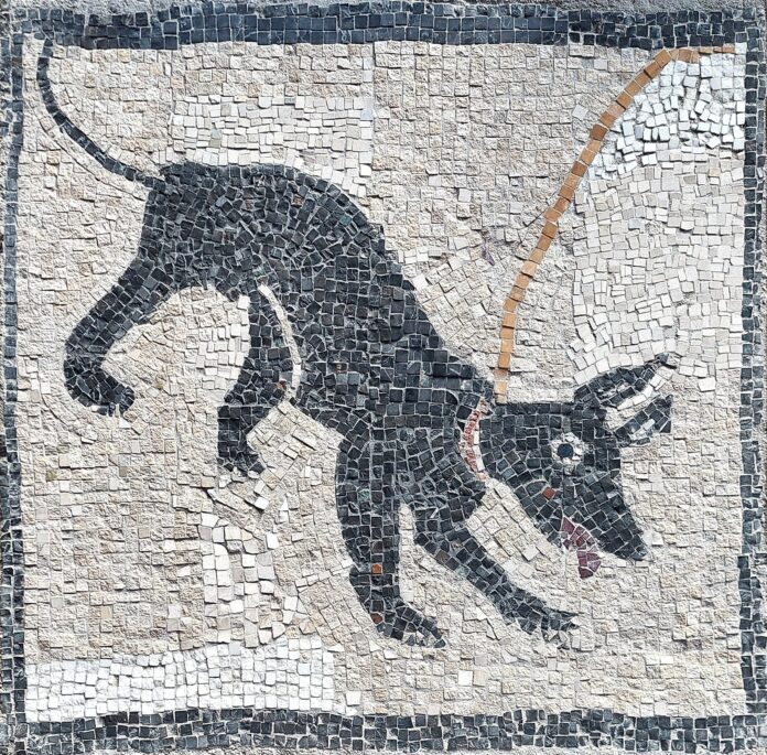 Hondenkunstwerk 2