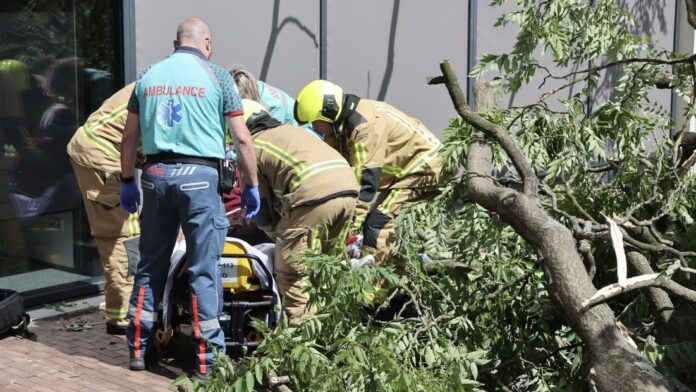 Vrouw in Leidschendam gewond door omvallende boom