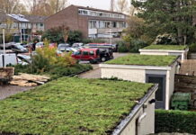 Leiden komt met subsidie voor vergroenen van tuinen en daken