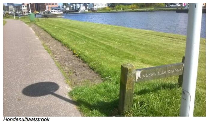 hondenuitlaatstrook