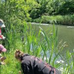 Oegstgeest zoekt oeveronderzoekers