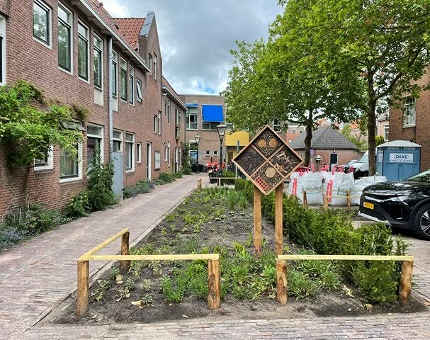 De Caeciliastraat in de Leidse binnenstad heeft een groene make-over gekregen. Verschillende ni (2)