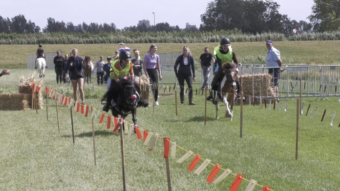 Succesvolle ponyrennen tijdens Stompwijkse Paardendagen Succesvolle ponyrennen tijdens Stompwijkse Paardendagen