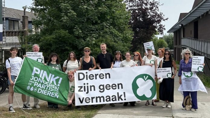 Partij voor de Dieren uit opnieuw zorgen over dierenwelzijn bij de Stompwijkse Paardendagen Partij voor de Dieren uit opnieuw zorgen over dierenwelzijn bij de Stompwijkse Paardendagen