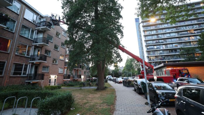 beknelde Meeuw bevrijd door de brandweer beknelde Meeuw bevrijd door de brandweer