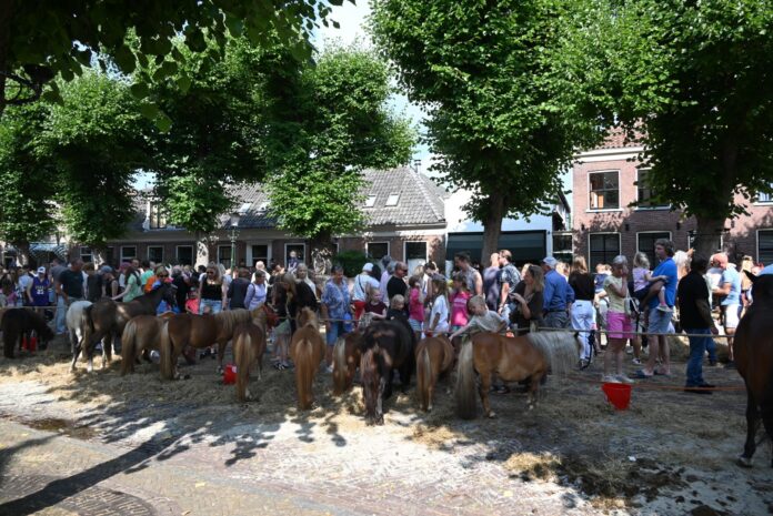Paardenmarkt (84)