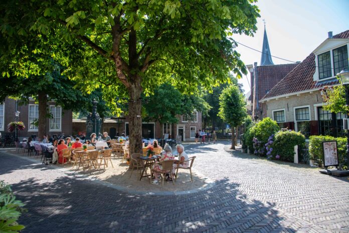 Terras