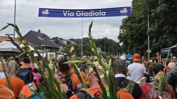 Trots, blaren en een groot feest: regiogenoten kijken terug op de Nijmeegse Vierdaagse Trots, blaren en een groot feest: regiogenoten kijken terug op de Nijmeegse Vierdaagse