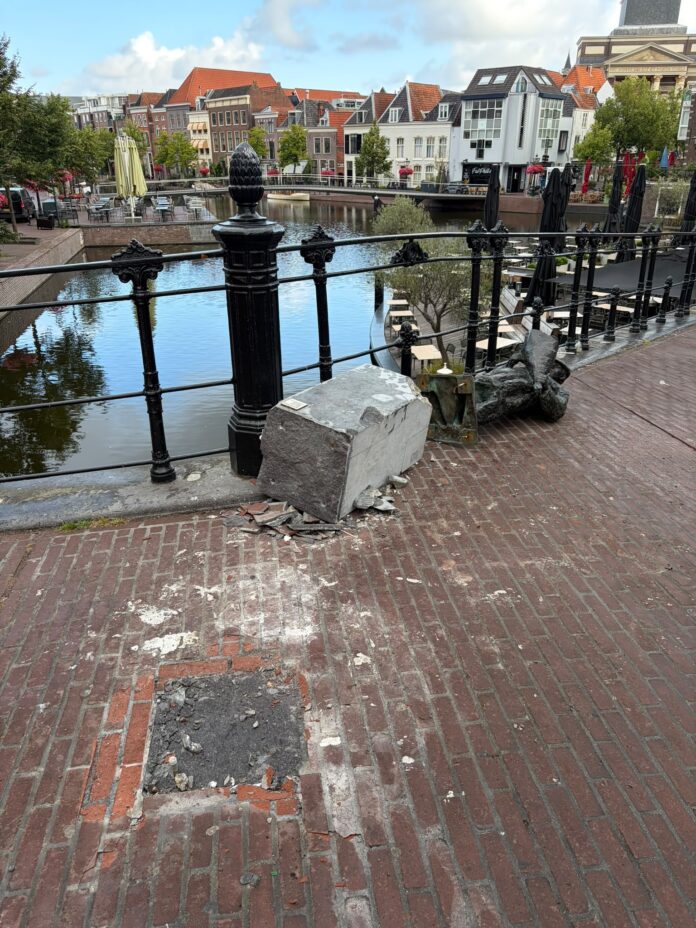 beeld5