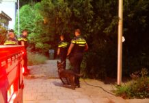 Politie zoekt met honden naar verdachte na woninginbraak