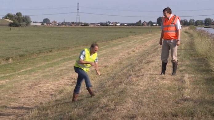Speuren naar scheuren
