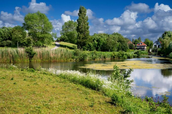 Oproep vanwege watertekort: minder lang douchen, tuin niet meer sproeien met drinkwater Oproep vanwege watertekort: minder lang douchen, tuin niet meer sproeien met drinkwater