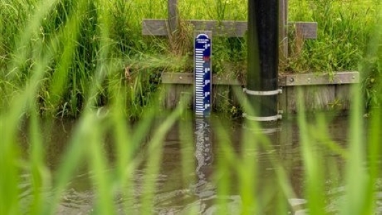 Delfland versoepelt tijdelijk verbod op gebruik slootwater, maar niet voor inwoners Delfland versoepelt tijdelijk verbod op gebruik slootwater, maar niet voor inwoners