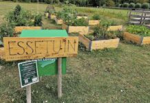 Stadsmoestuin De Essetuin in Voorburg zoekt nieuwe deelnemers’ Stadsmoestuin De Essetuin in Voorburg zoekt nieuwe deelnemers’