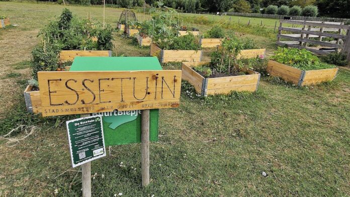 Stadsmoestuin De Essetuin in Voorburg zoekt nieuwe deelnemers’ Stadsmoestuin De Essetuin in Voorburg zoekt nieuwe deelnemers’