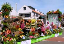 Flower Parade Rijnsburg live op RTV Katwijk en Sleutelstad