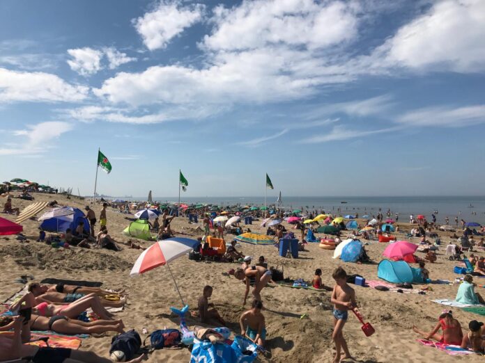 Wassenaarse Slag