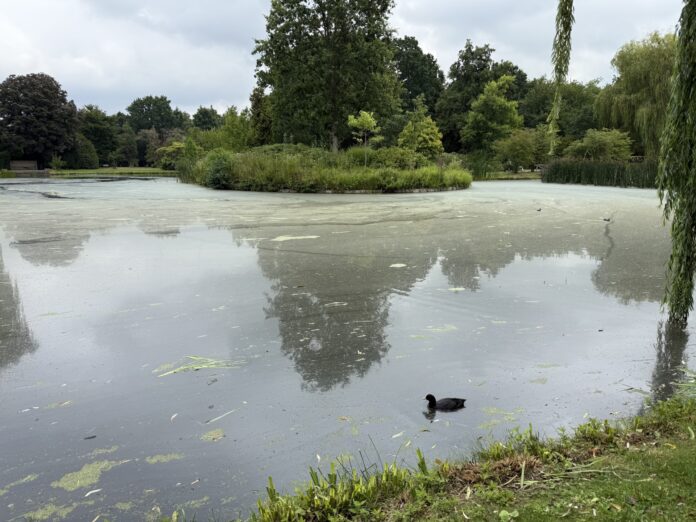 berkhoutpark